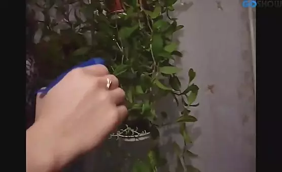 Eager Roommate Blowjob and Sex Adventures
